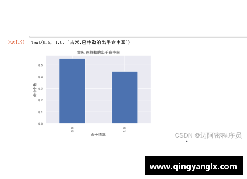 NBA球员数据库：全面分析顶级球员的职业生涯数据